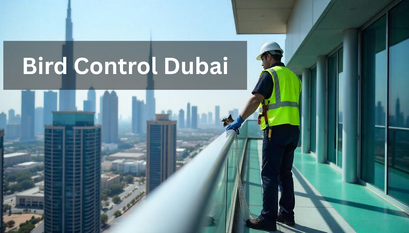 Bird Control Dubai - Professional Services | Al Mandhar