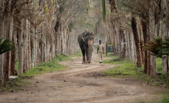 vantara zoo ticket price
