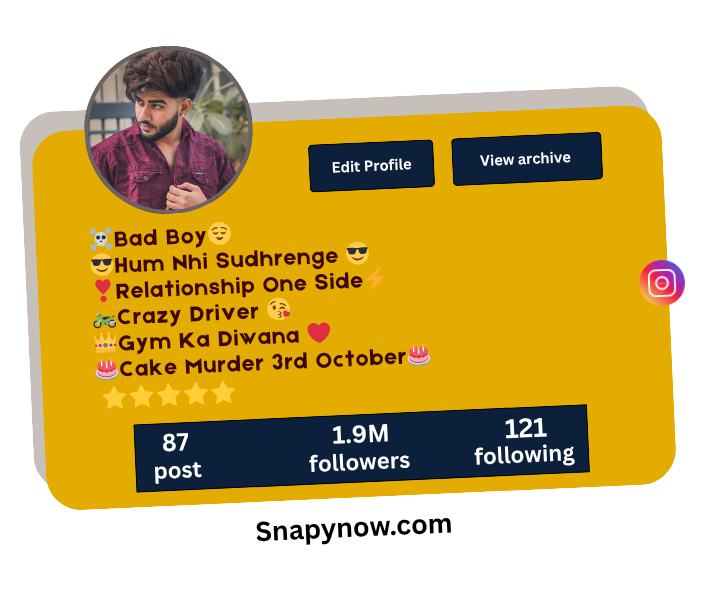 Unique Instagram Bio for Boys